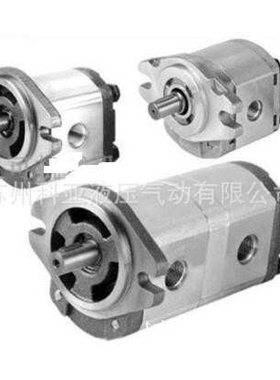 齿轮油泵BHP2AOD16C1L1 BHP2A0D8C0L1 BHP2AOD14C1R1