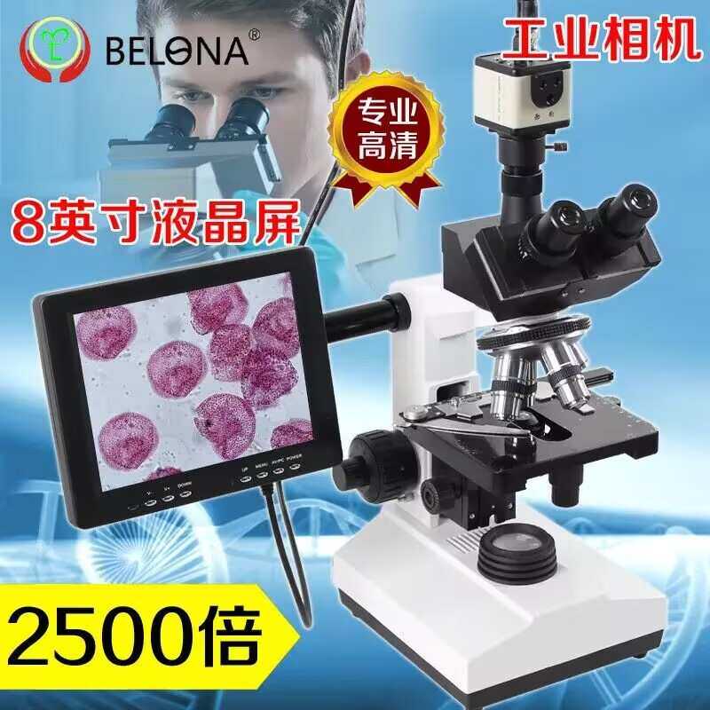 贝朗高清光学双目显微镜专业生物水产养殖藻类鱼病检测精子2500倍