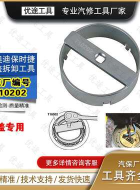 迈腾汽油泵扳手A6L 途观 途锐 途安Q7明锐油箱盖拆卸工具 T10202