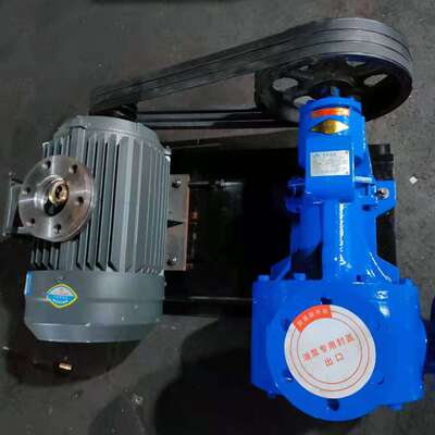 NCB1.8-0.3高粘度转子泵 稠油泵 甘油输送泵 铸铁电动齿轮泵