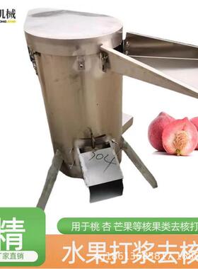 大型果核果浆分离机 不锈钢果肉粉碎去核机 油柑钙果梅子脱核
