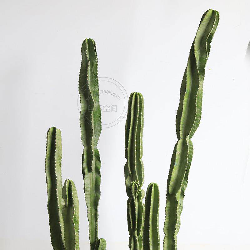 PU仙人柱大型天轮柱假仙人掌仿真沙生植物装饰摆件假绿植仿真花