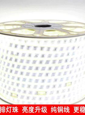 220VLED灯带三排高亮三色变光七彩家用室内客厅吊顶户外防水灯带