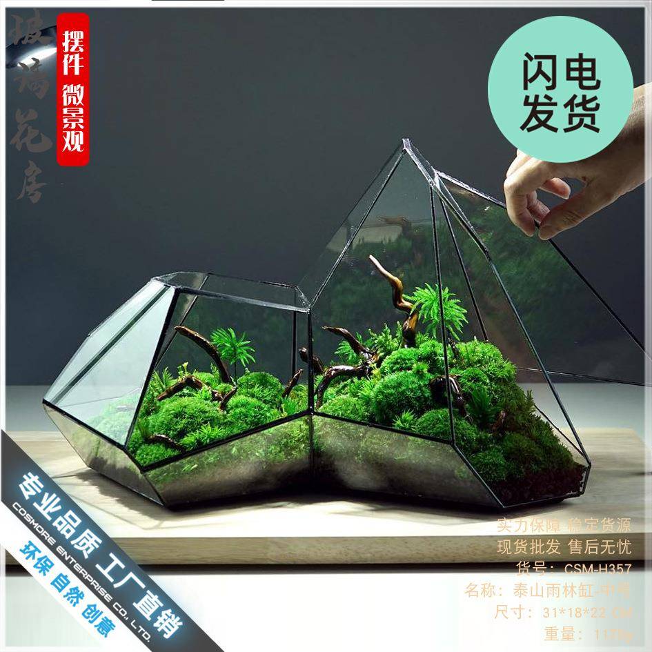 微景观苔藓雨林缸几何森林墙玻璃花房不规则生态瓶多肉水草缸花盆