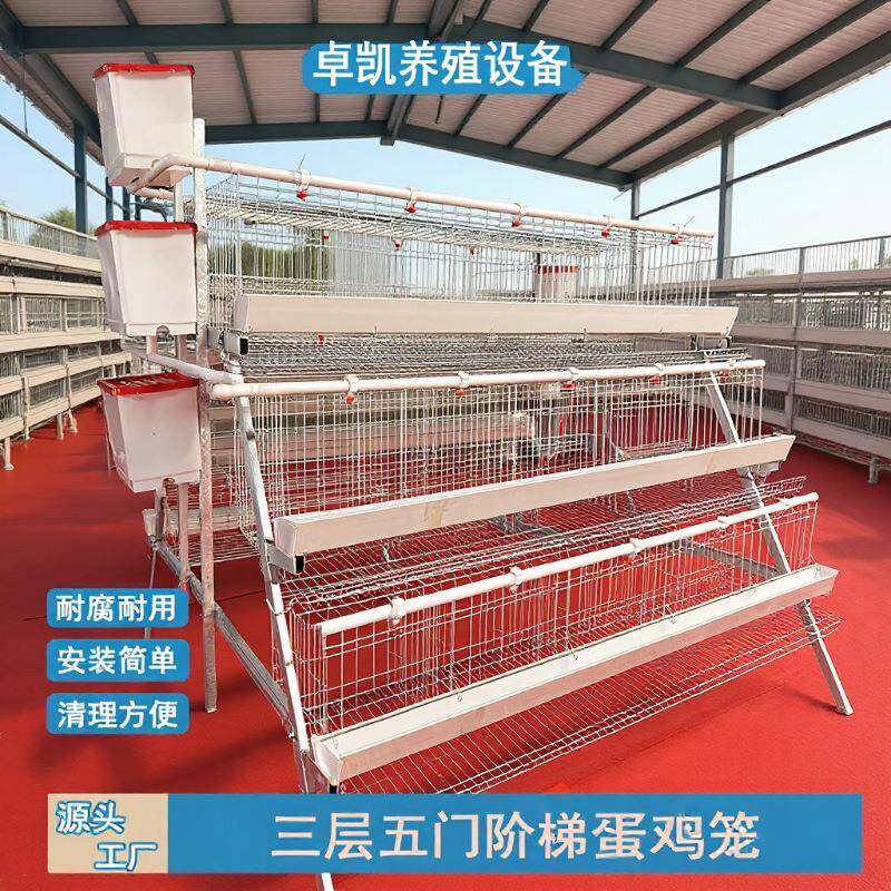 源头工厂阶梯蛋鸡笼镀锌钢丝坚固不变形养殖成本节约型设备,畜牧/养殖物资,特种养殖设备,淘宝优惠券,粉丝福利购,淘宝优惠卷