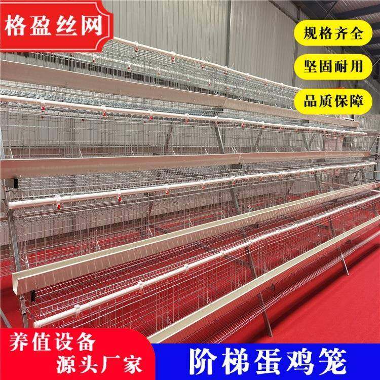厂家零售各种规格阶梯蛋鸡笼冷热镀锌结实耐用,畜牧/养殖物资,特种养殖设备,淘宝优惠券,粉丝福利购,淘宝优惠卷