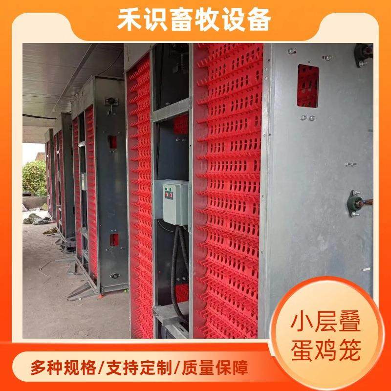 小层叠蛋鸡笼三层四层阶梯式各种禽类热镀锌养殖设备自动化蛋鸡笼,畜牧/养殖物资,特种养殖设备,淘宝优惠券,粉丝福利购,淘宝优惠卷