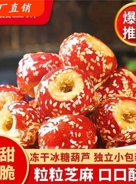 活动立减30元【买二送一】冻干冰糖葫芦无核山楂酸甜酥脆小零食-R