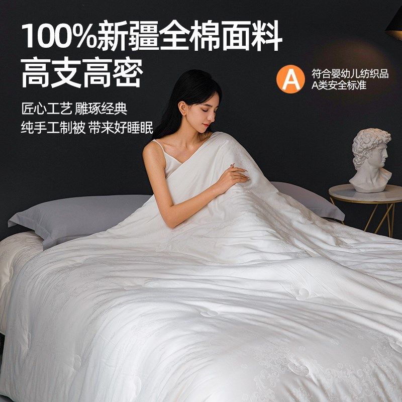 纯棉桑蚕丝子母被二合一拉链四季通用空调被子冬被芯大豆纤维春秋,床上用品,化纤被,淘宝优惠券,粉丝福利购,淘宝优惠卷