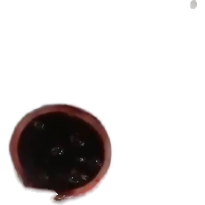 肯德基专用蓝莓酱料格,可以有效管控应产率,含票包邮,五年质保