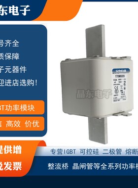 170M6808/6809/6810 170M6811 170M6812 170M6813 170M6814熔断器