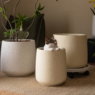 客厅花盆落地大号轻奢高级感绿植盆栽花器镁泥仿陶瓷大型植物花盆