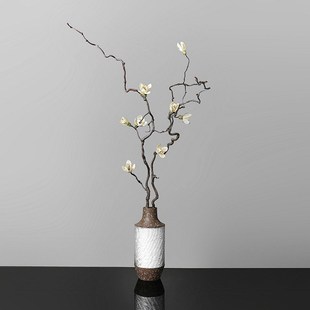 龙枣枝干树枝装饰插花干枝摆件干支花束插花客厅落地摆设花艺真花