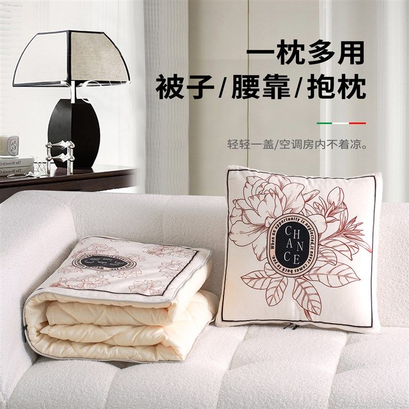 抱枕被子两用四季午睡枕头被空调靠枕折叠毯子二合一轻奢简约现代,居家布艺,抱枕被,淘宝优惠券,粉丝福利购,淘宝优惠卷