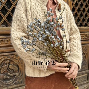 AA级特白尤加利小果云南森系天然干花真花干枝桉树果家居装饰复古