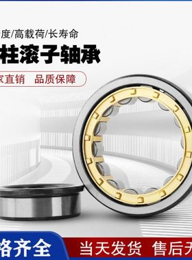 圆柱滚子轴承N NU NJ RNU NUP 2224 2226 2228 2230 EM C3