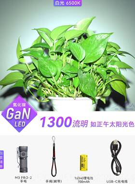 高档在路P上M3 R-O2迷你光USB手电筒防身可充电小手电筒户外防水l