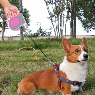 普通款 狗牵引绳中型犬大型小型狗链自动伸缩遛狗神器防爆冲遛狗绳