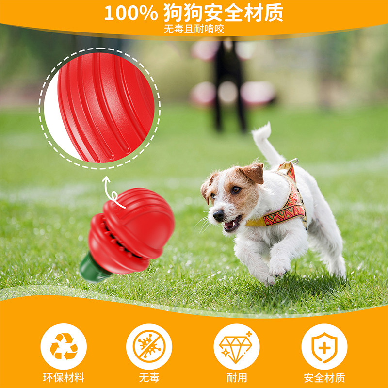 狗咬胶食人花宠物玩具可插入狗咬胶棒固定器无毒耐用益智狗玩具,宠物/宠物食品及用品,漏食玩具/藏食玩具/嗅闻玩具,淘宝优惠券,粉丝福利购,淘宝优惠卷