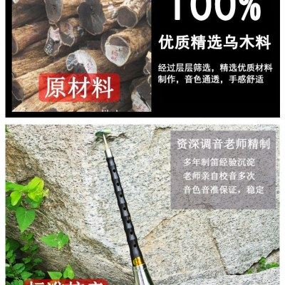 专业唢呐乐器成人儿童初学高音乌木小海笛小GEF调锁呐百鸟朝凤,乐器/吉他/钢琴/配件,唢呐,淘宝优惠券,粉丝福利购,淘宝优惠卷