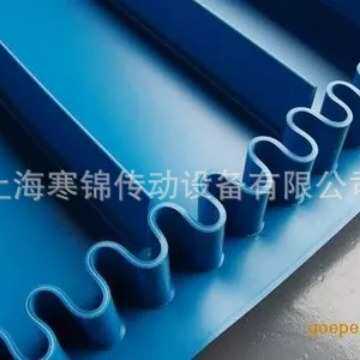 食品级易洁带屠宰行业蔬菜加工防霉抗菌耐油传送带