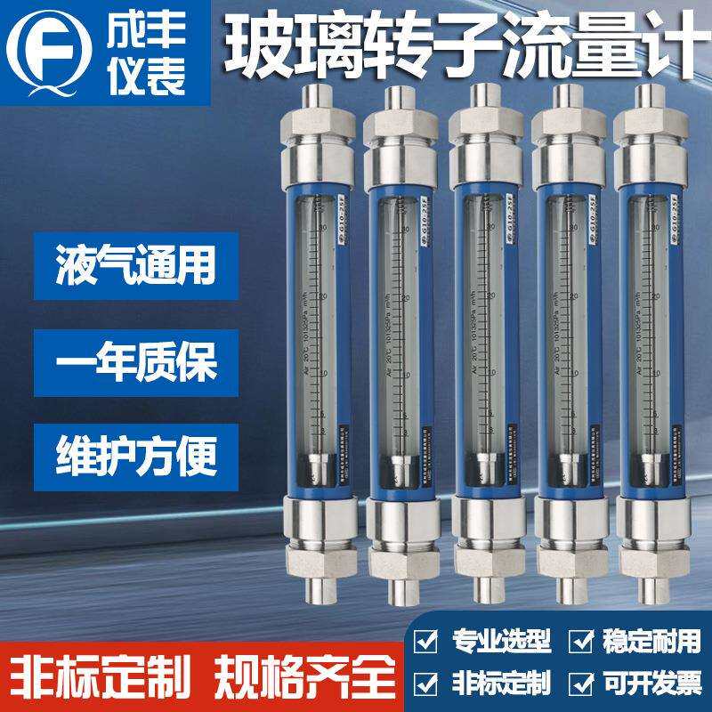 G10 50F气体浮子玻璃转子流量计 接液材质304 管道螺纹接头G1内丝