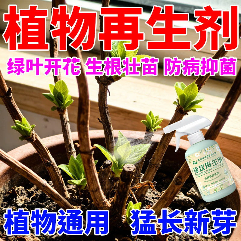 植物速效再生剂复活液绿植花卉盆栽光杆发黄掉叶通用型水溶肥