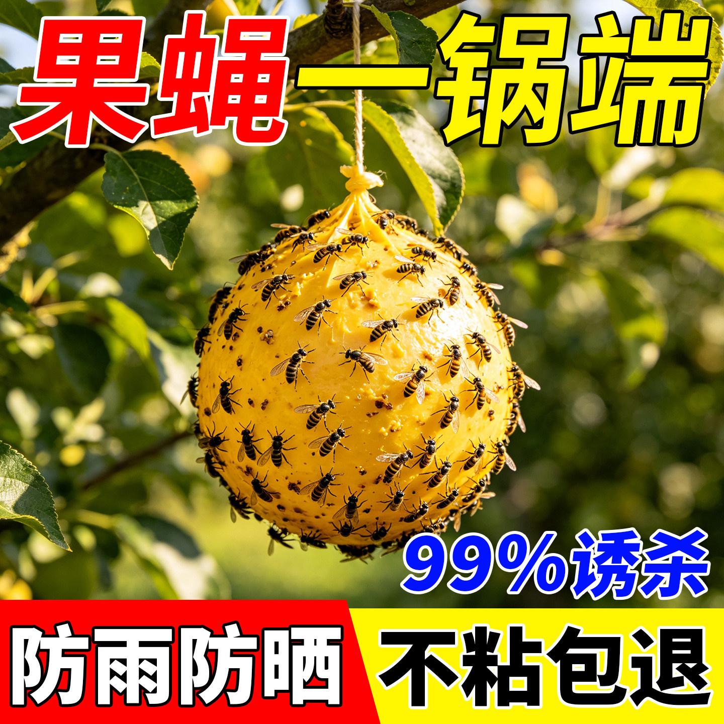 诱蝇球柑橘大实蝇小飞虫针锋引诱球花紫萌果树粘虫球果实蝇诱球