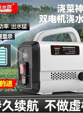 浇菜神器浇水机抽水泵农村用灌溉充电式锂电新型菜地自动浇地淋菜