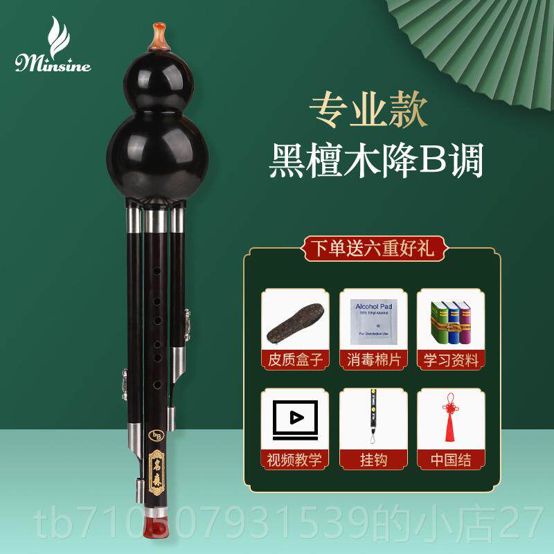 正品名葫芦丝调小学生专用儿童初学降b调d调音小孩子葫芦森丝c乐