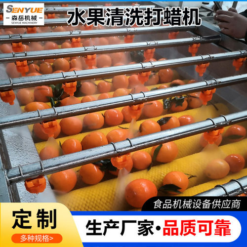 厂家直供黄桃清洗机 全自动水果清洗打蜡机分级机 橘子沃柑洗果机
