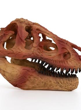 恐龙头骨模型树脂工艺品霸王龙骷髅头动物骨架研究参考动物骷颅头
