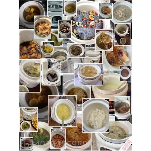 新款电炖锅煮锅插自电婴儿陶瓷煲粥锅煲汤炖炖汤锅家用全粥动炖锅