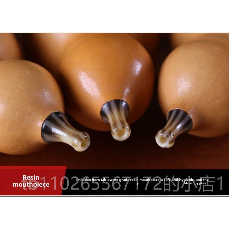 新款玄鹤楠竹葫芦丝专业奏型 小d/c降b/g调/f成人小学演生初学/者