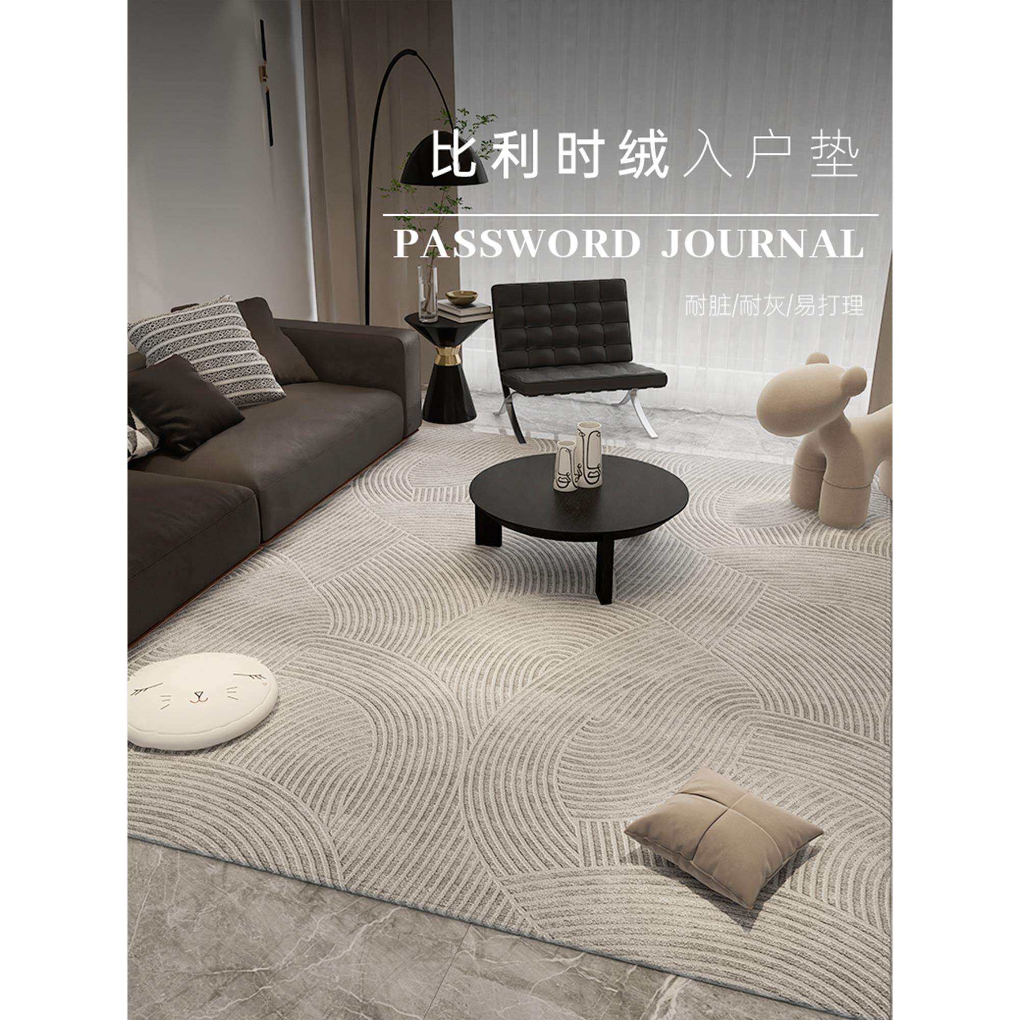 轻奢灰色卧室地毯客厅沙发地垫新款高级床边免洗2025耐脏感可擦毯