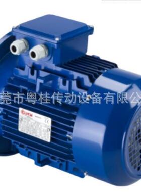 波兰Cantoni电机Sg132S-8，710rpm2.2kW,400V,B3
