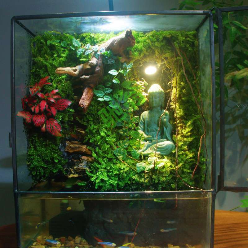 yut苔藓微景观雨林缸生态瓶流水桌面绿植水陆生态缸禅意大佛盆栽