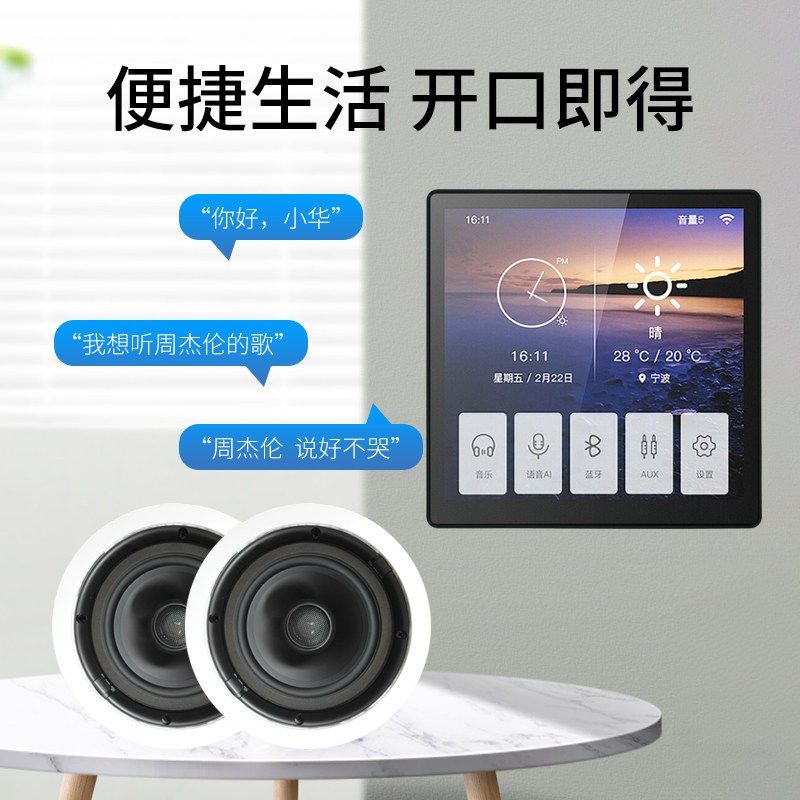 /惠威 VX6-C智能背景音乐控制器语音点歌立体声吸顶音箱套装