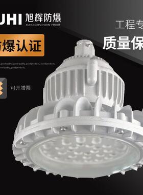 XHD610免维护LED防爆灯70W80W100W防爆LED灯防爆路灯防爆照明灯