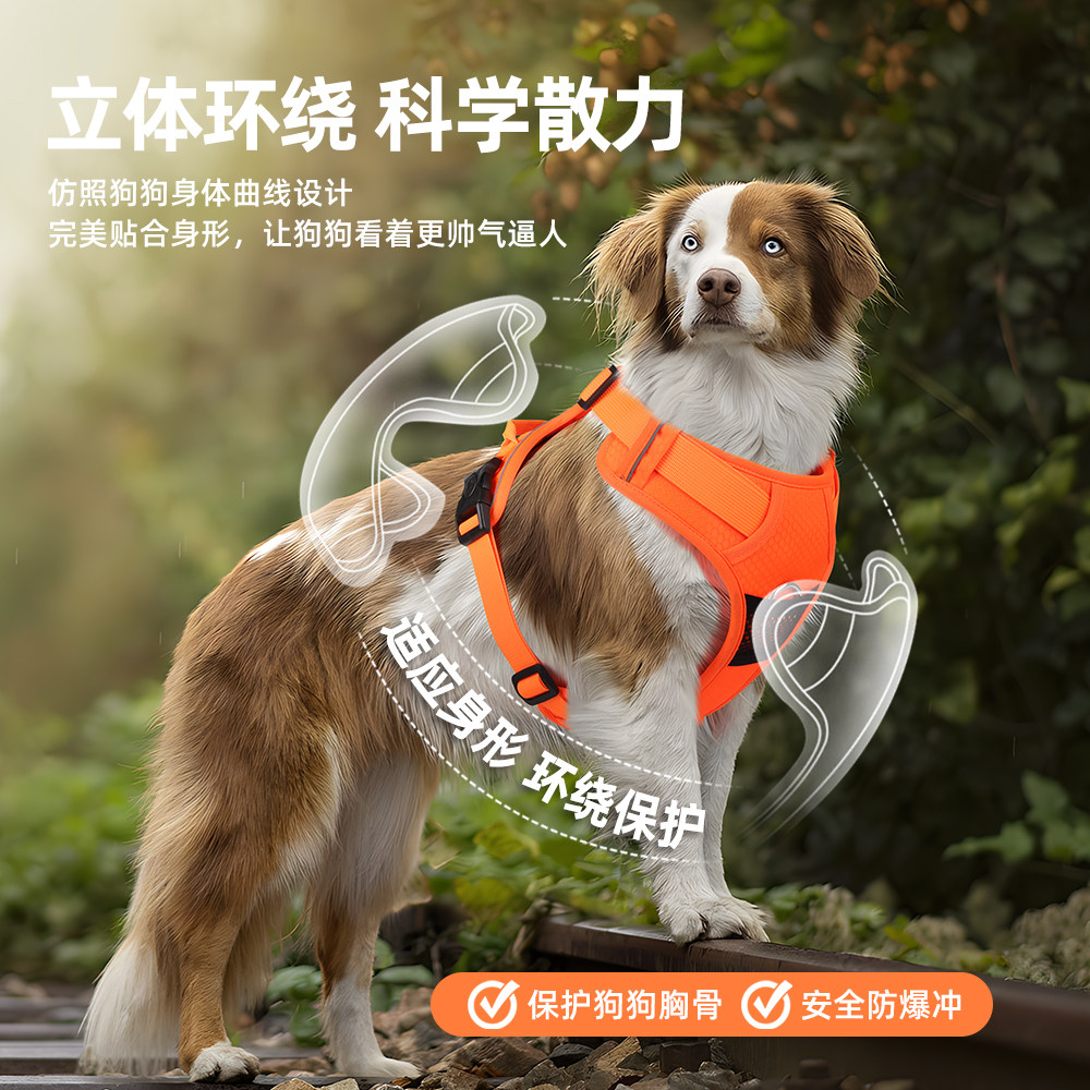 狗狗便引绳防爆冲胸背带牵携提手柴犬拉布大多中拉型犬宠物遛狗绳
