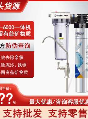 爱惠浦新款EVP-3000 EVP-6000 EVP-1500家用直饮净水器 除铅过滤