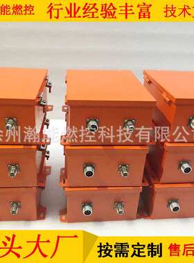 高能点火器 DSN 20贮能20J火花频率7～17次/秒