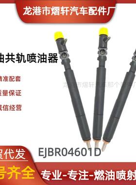 EJBR04601D适用双龙路帝2.7T德尔福喷油器A6650170321雷斯特五缸
