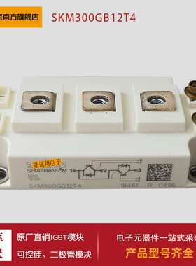 两单元(2U)/1700V IGBT模块SKM300GB176D  SKM300GB17E4 功率模块