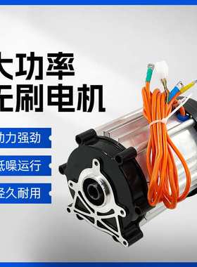 电动车用差速电机60v72v1500w1800w2200w3000w大功率直流无刷电机