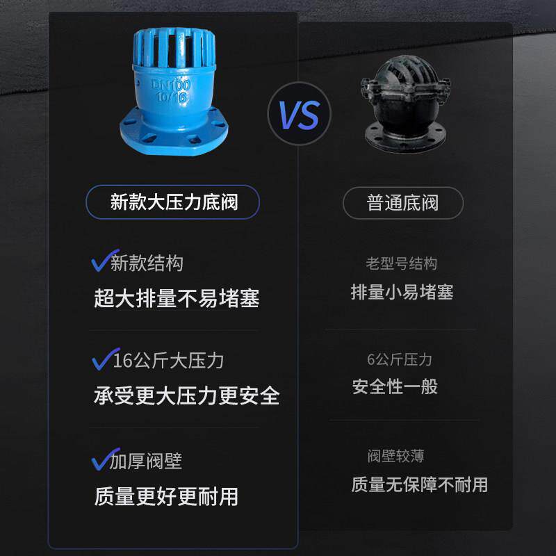 法兰铸铁水泵单向止回底