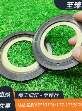 德国CFW马达高压油封BABISLSFX6  177.1*159*6.5/7.7 55*101*6