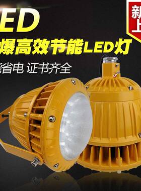 FGV1246-LED免维护节能防爆泛光灯20W30W40W50W支架式立杆式安装