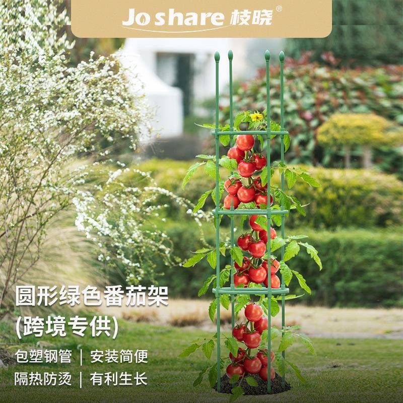 枝晓绿色番茄架花卉支架植物包塑钢管葡萄架月季花支架阳台跨境