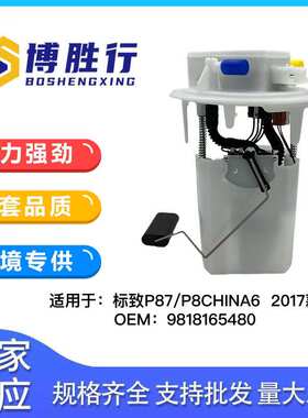 适用于标致5008/P87/1.6T/1.8T汽油泵总成汽油泵芯9818165480